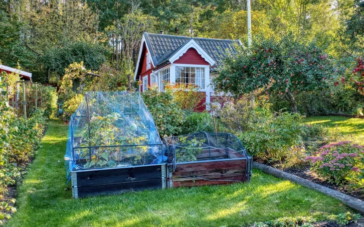 Regenerativní zahrada se záhony