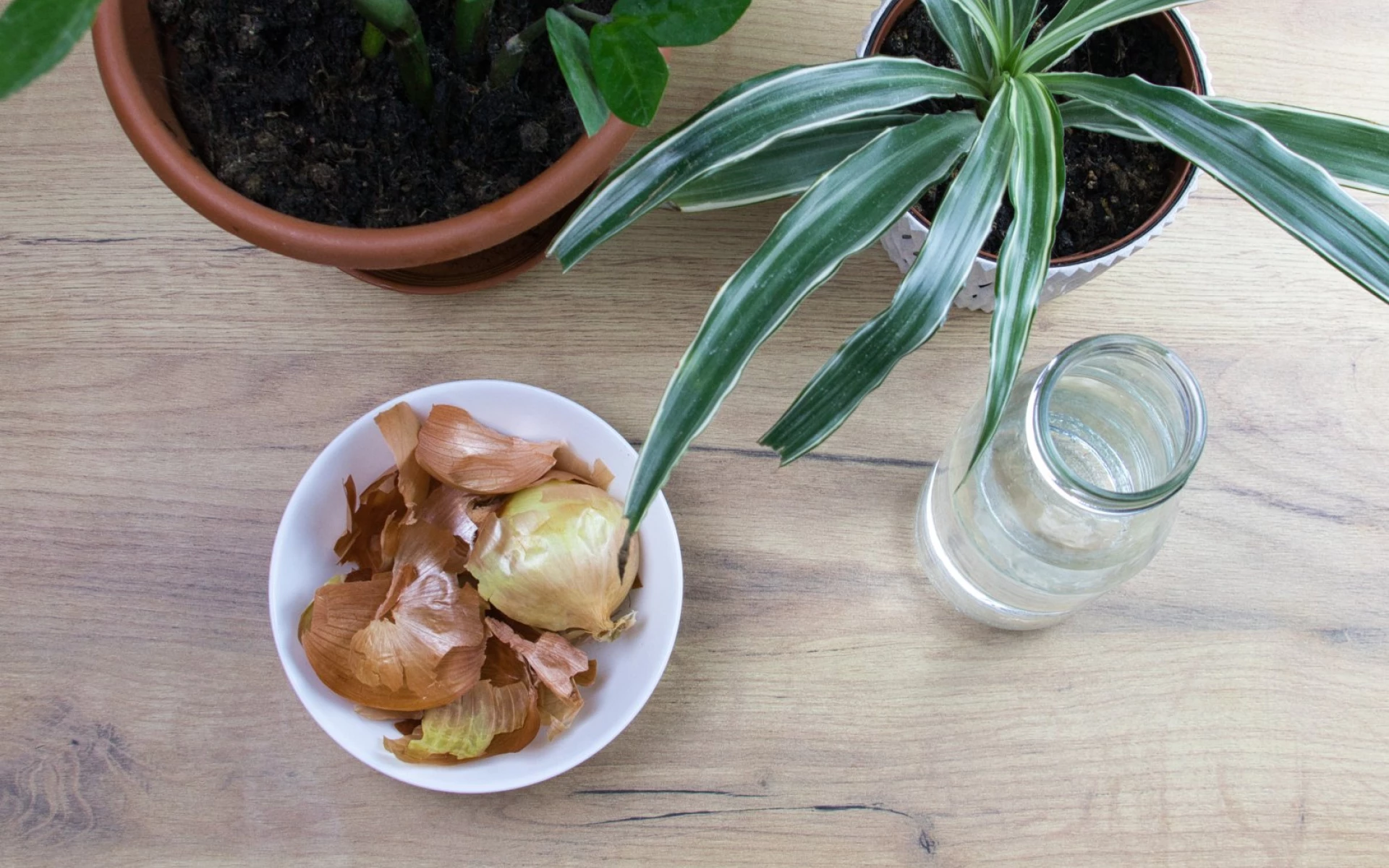 Slupky z cibule: Byla by škoda je vyhodit, v domácnosti mají podstatné využití