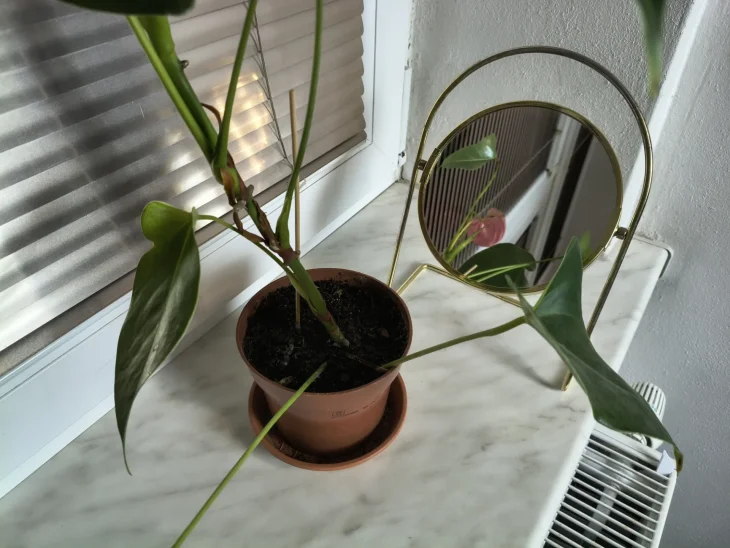 Zrcátko vedle toulitky pro více světla