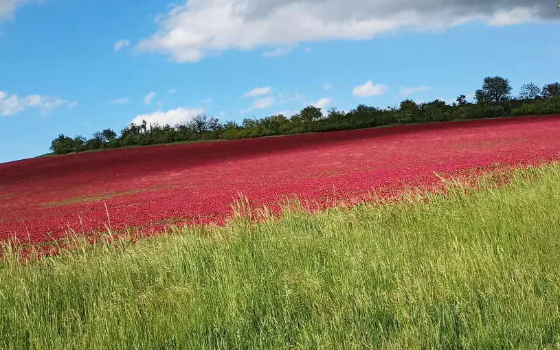 Moravské Toskánsko