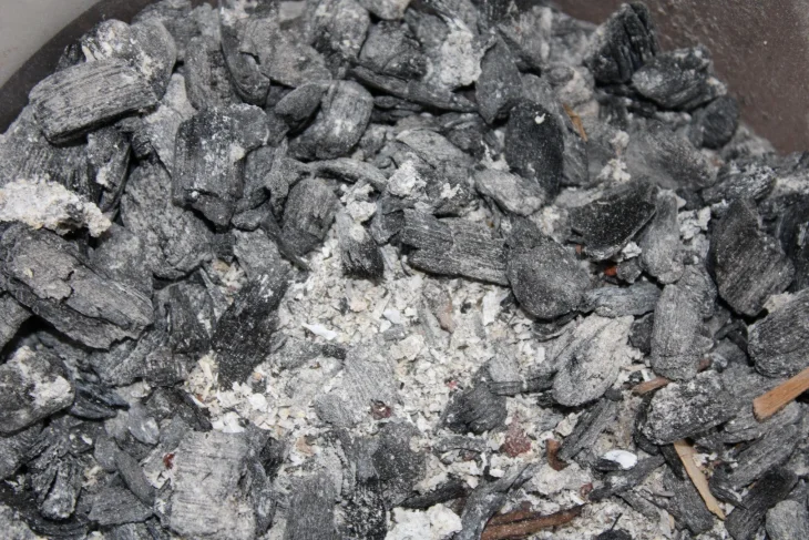 Popel jako hnojivo na jahody