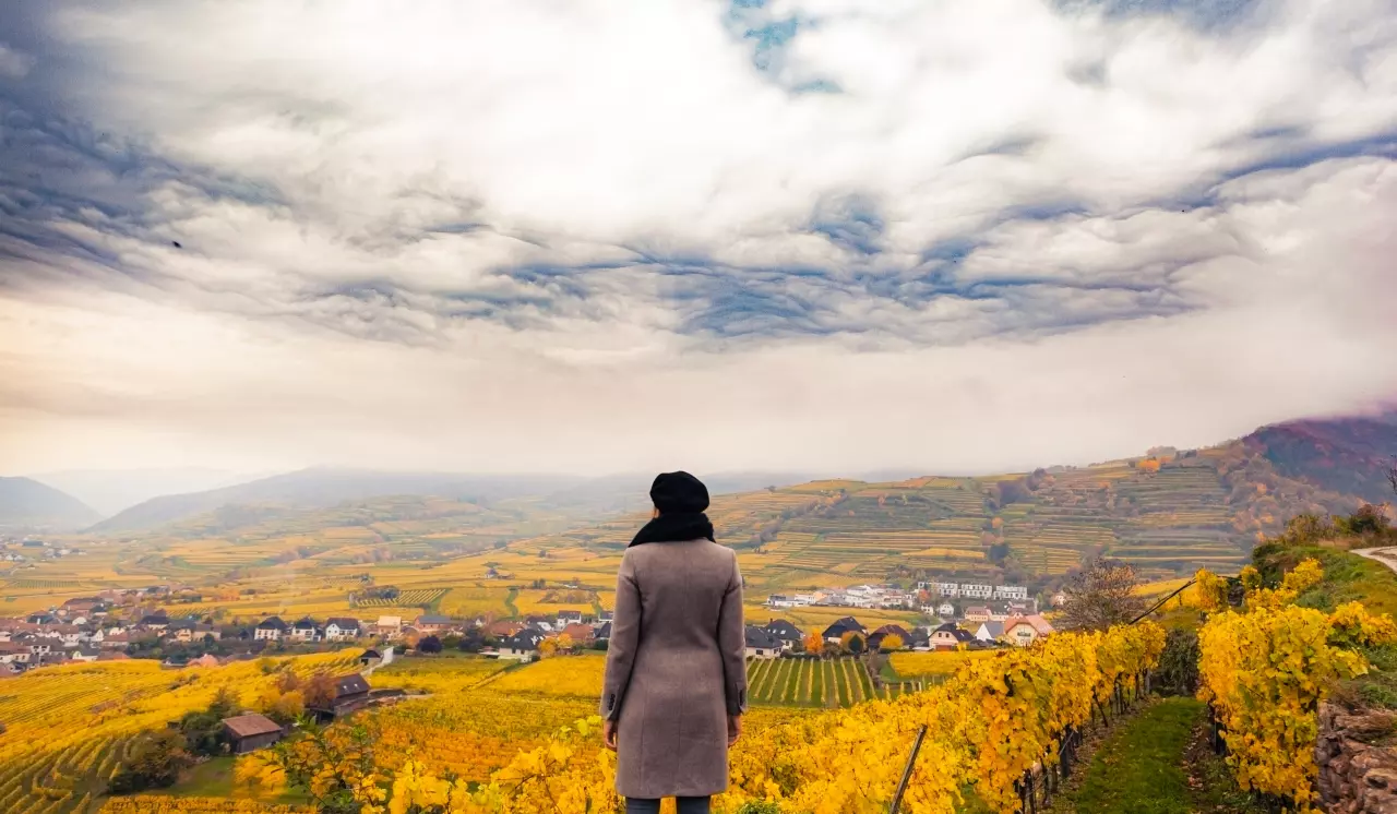 Zimní výlet do rakouského údolí Wachau: Obdivujte majestátní ticho v krajině přírodní památky UNESCO