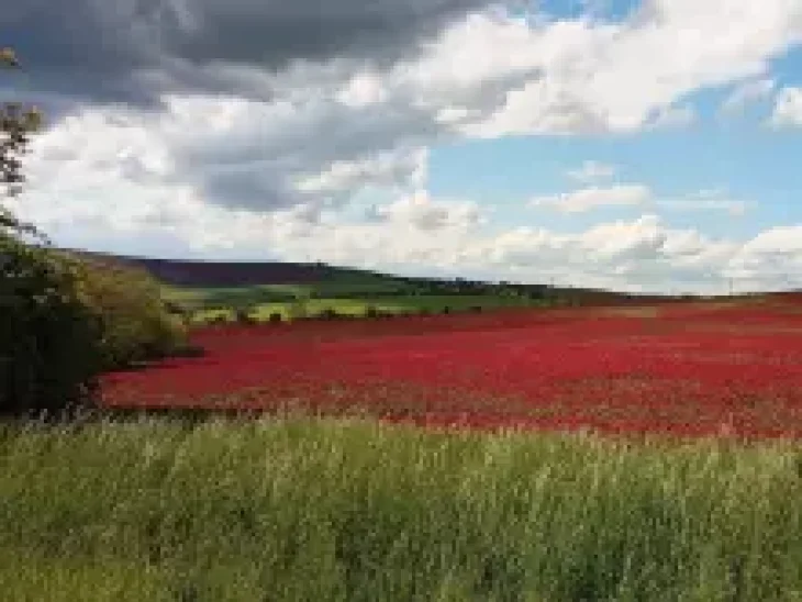 Moravské Toskánsko