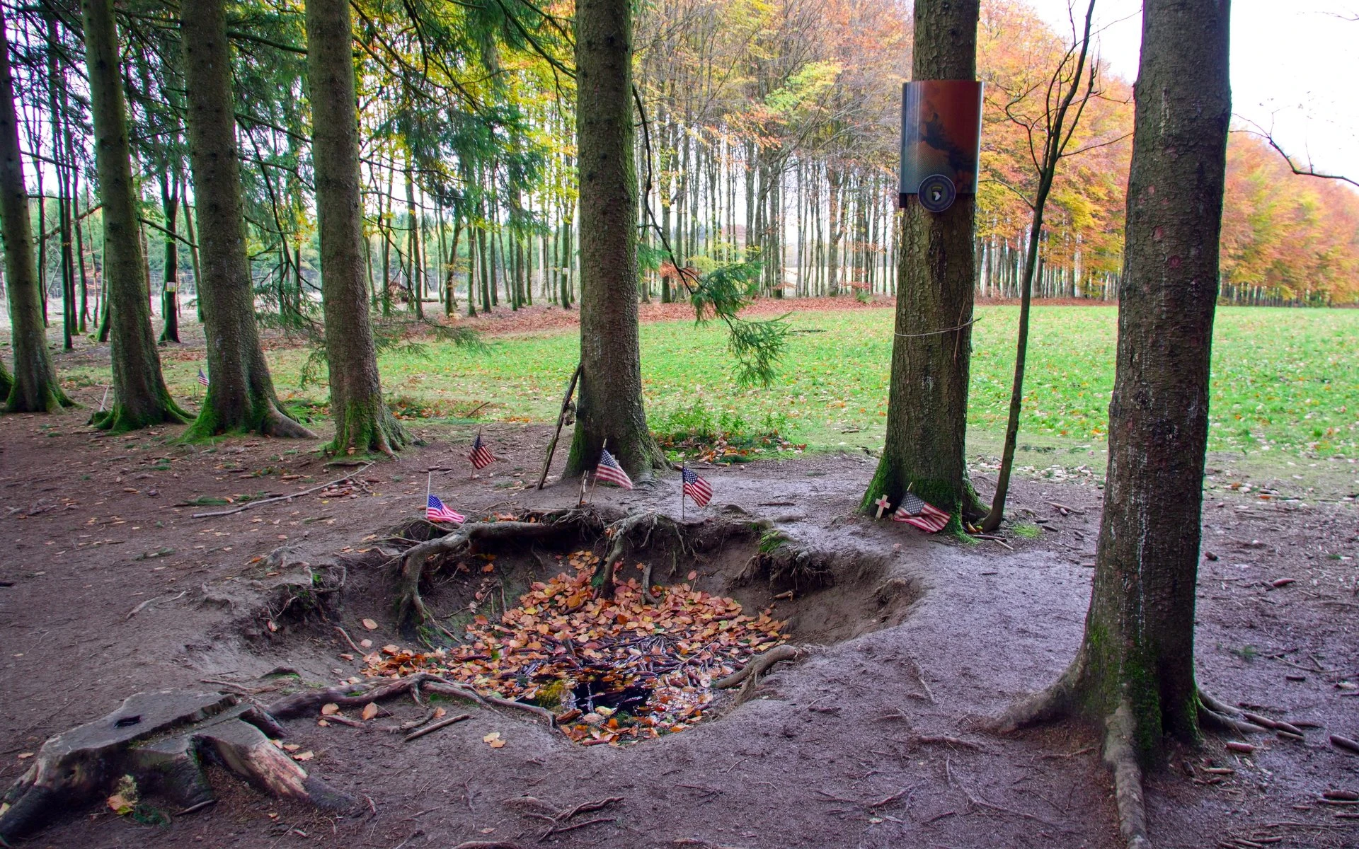 Původní zákopy (foxholes) 101. výsadkové divize v lese Bois Jacques u Bastogne v Belgii.