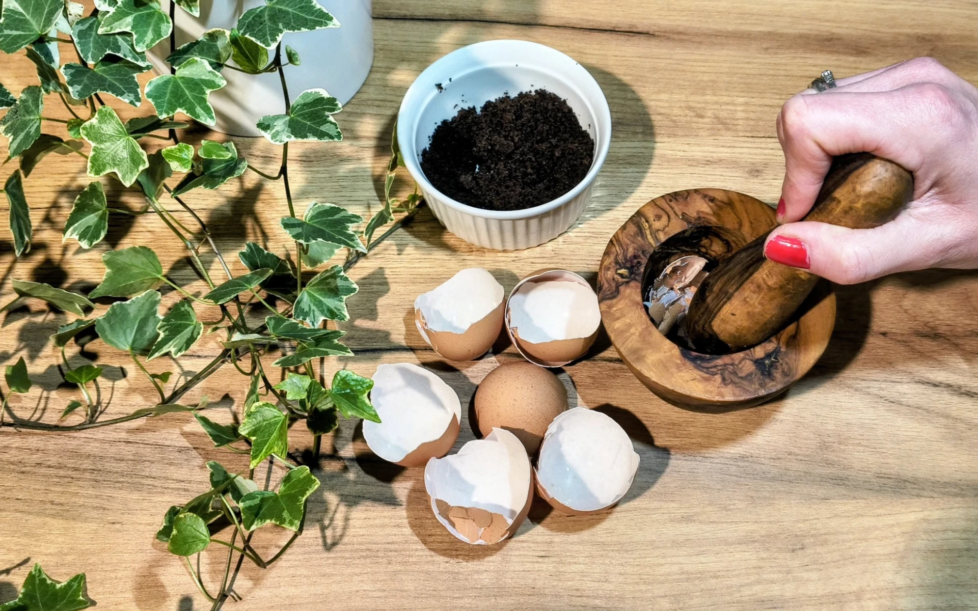 Proč od ledna nevyhazuji skořápky od vajec a lógr? Můj recept na zahradní poklad, po kterém vše krásně roste