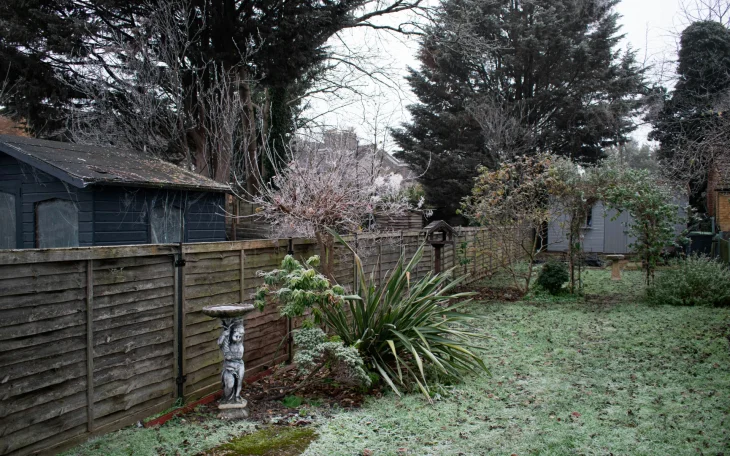 Zimní zahrada v lednu