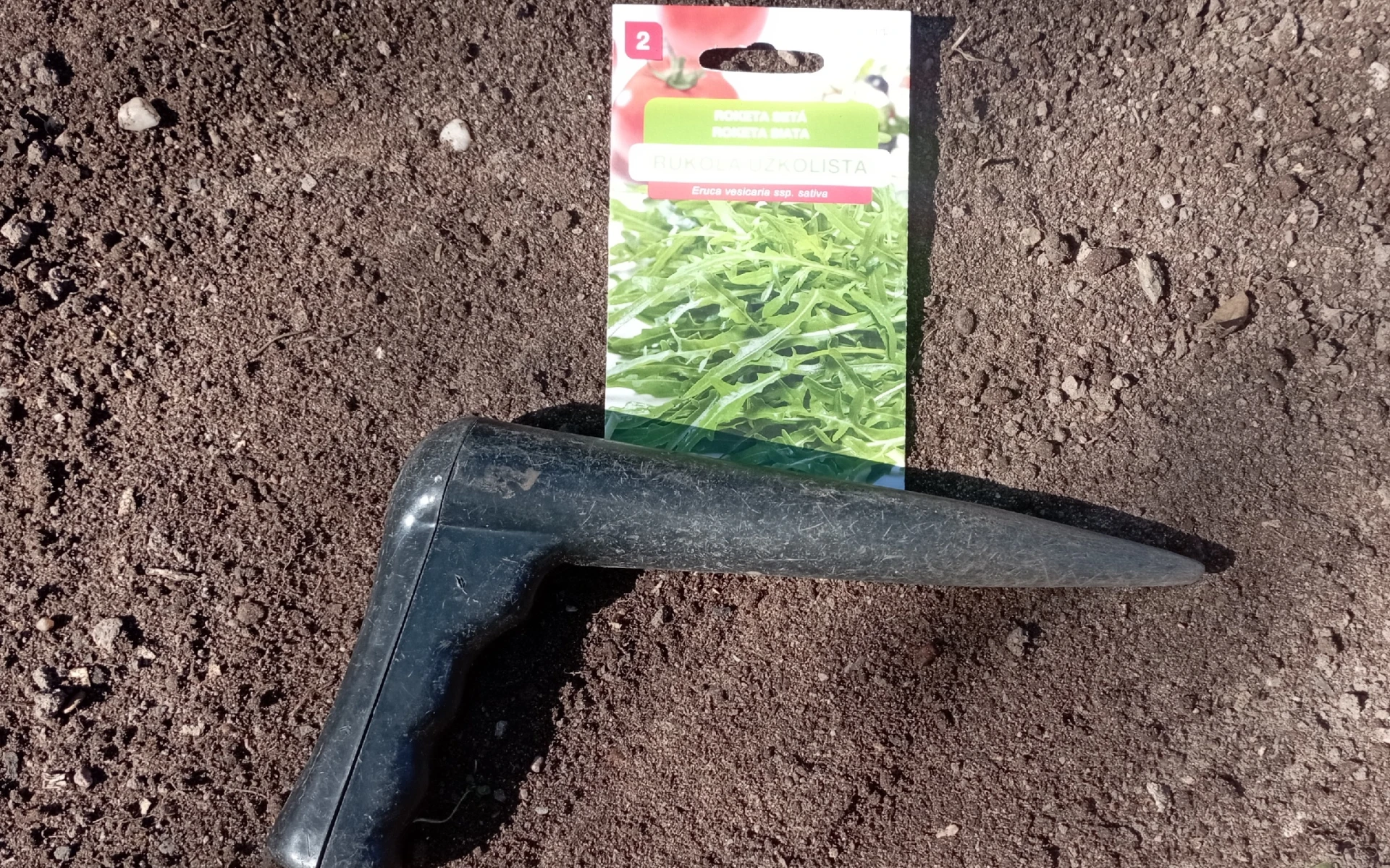 Semena rukoly, rokety seté