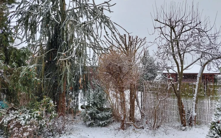 Sníh na zahradě v únoru