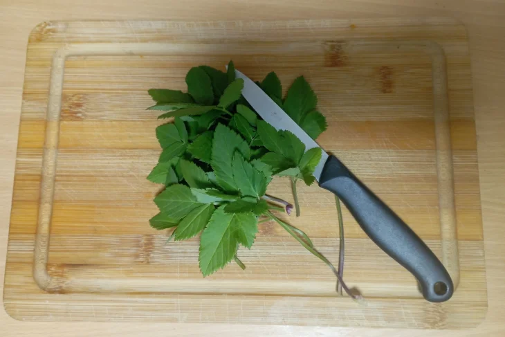 Bršlice kozí noha jako urputný plevel s využitím v kuchyni