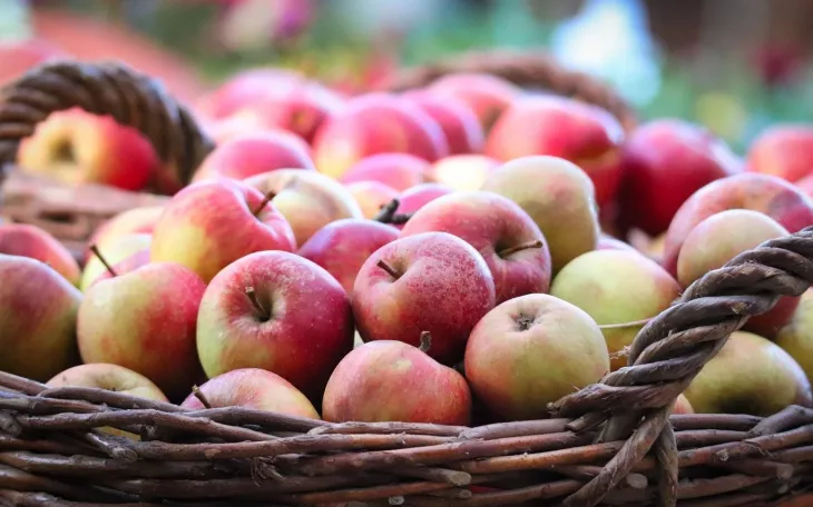 Jablka