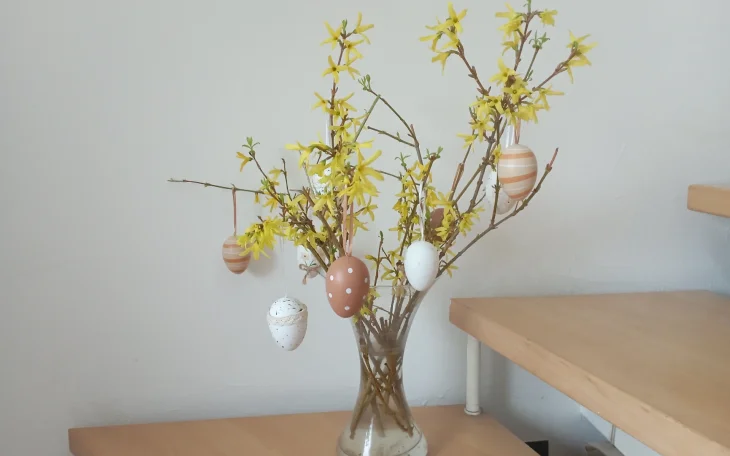 Zlatý déšť ve vázy