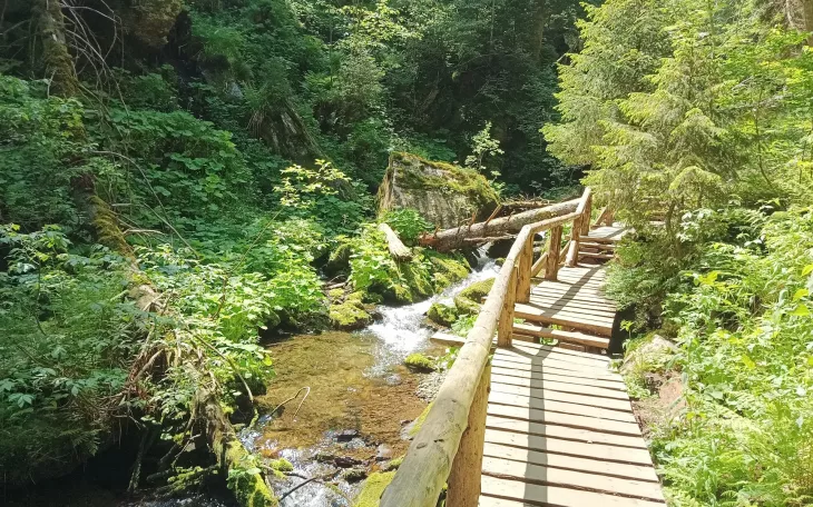 Naučná stezka Bílá Opava