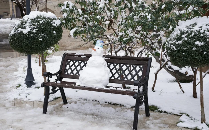 Zahrada, zima, sníh