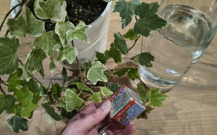 Hnojivo z droždí povzbudí rostliny k růstu