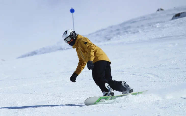 Snowboardista