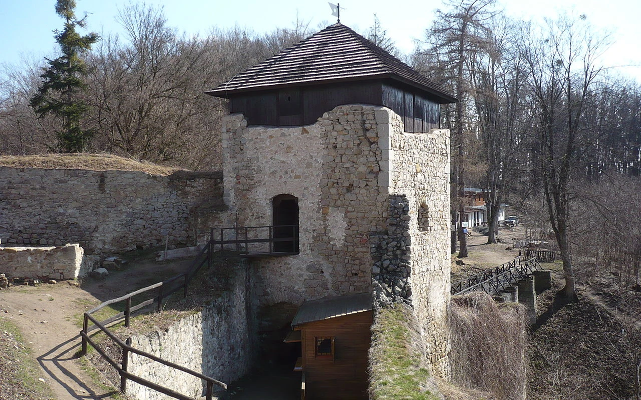 Hradní zříceniny, o které pečuje obec či spolek