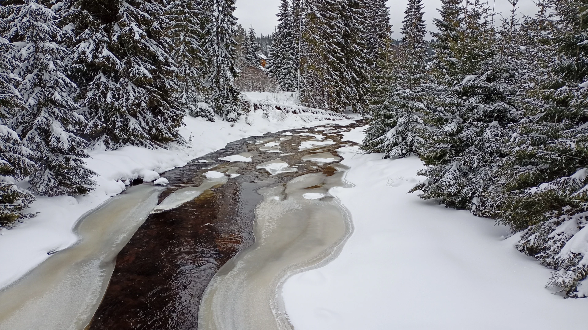 Šumava - Modrava