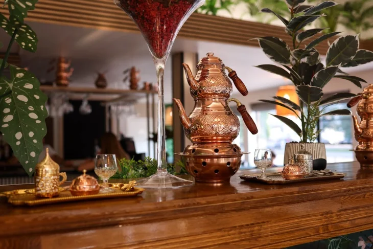 Rostliny a konvička na čaj Pokojové rostliny s dekoracemi