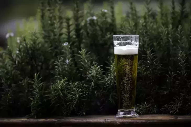 Pivo pro rostliny