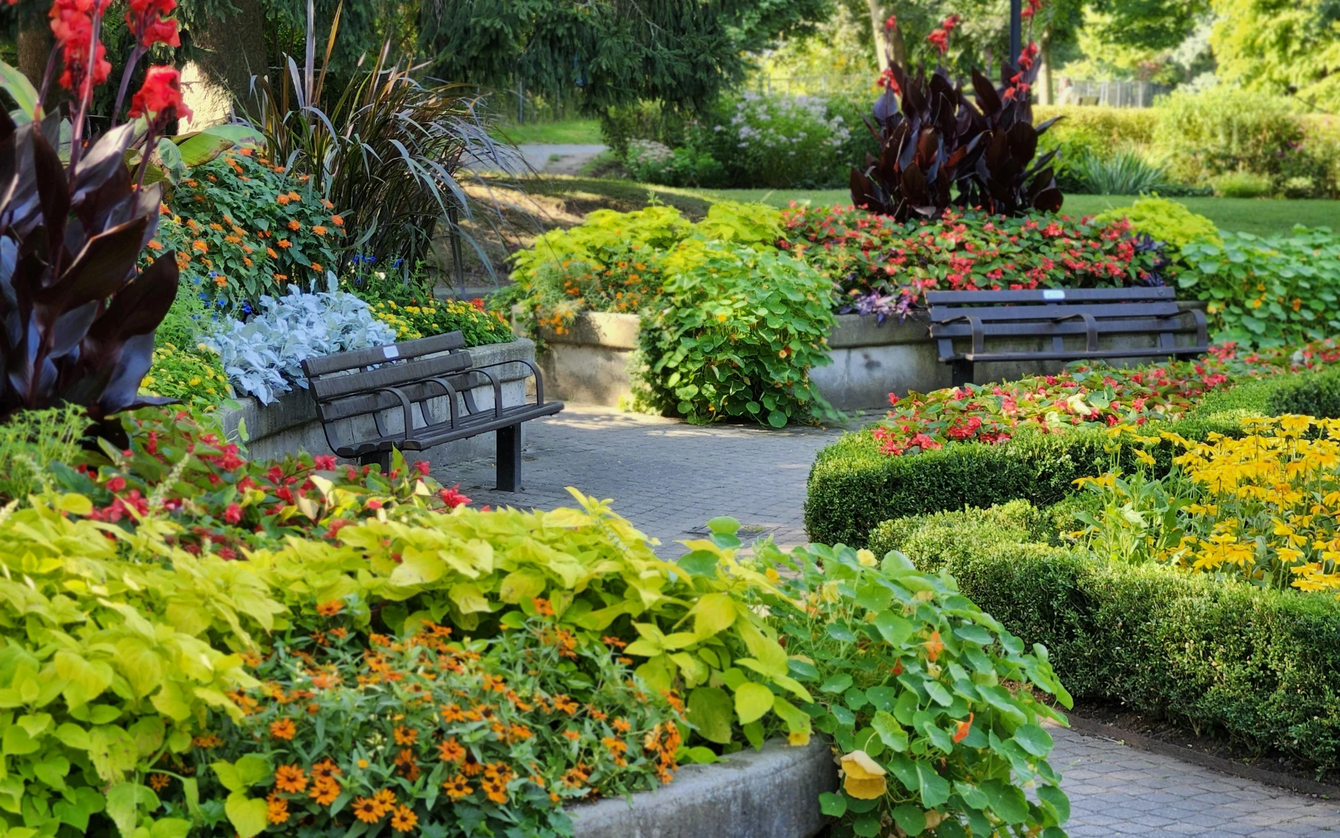 Trvalkové záhony na zahradě