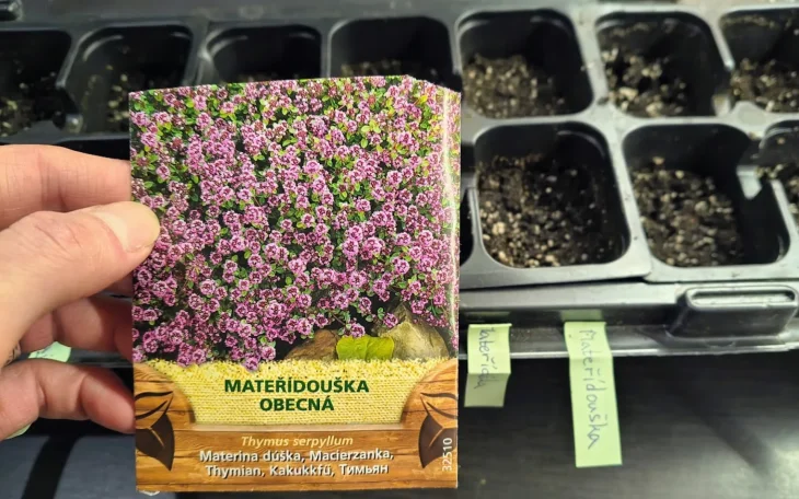 Mateřídouška balíček se semeny pro výsev
