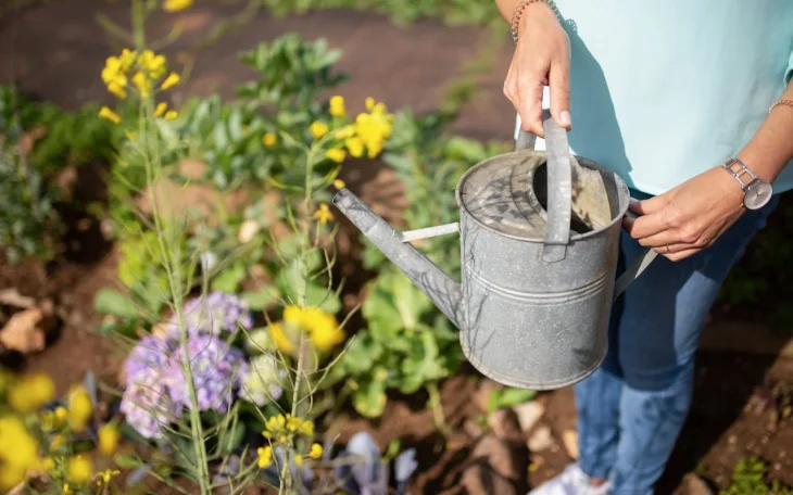 Zavlažování zahrady pomocí konve