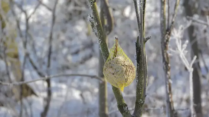 Lojová koule pro ptáky zajistí pestrou stravu