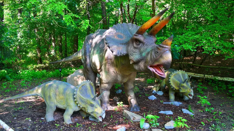 Triceratops