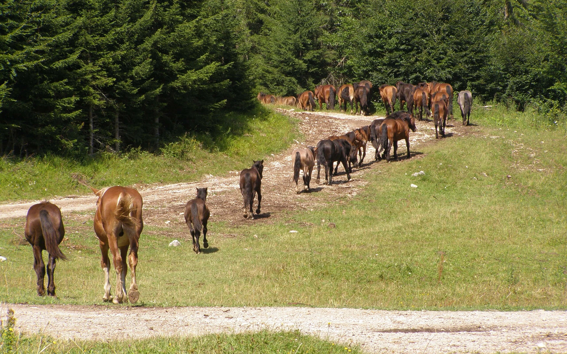 Tyto 4 národní parky na Slovensku zná málokdo. Přitom jsou nádherné a bez davů!