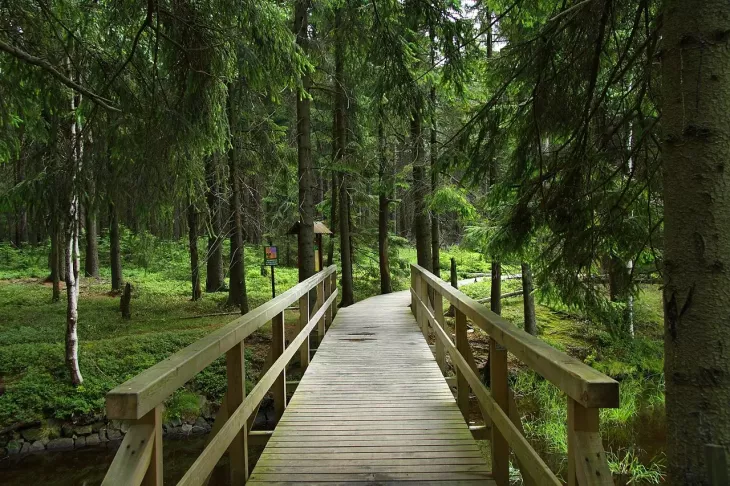 Naučná stezka Kladská