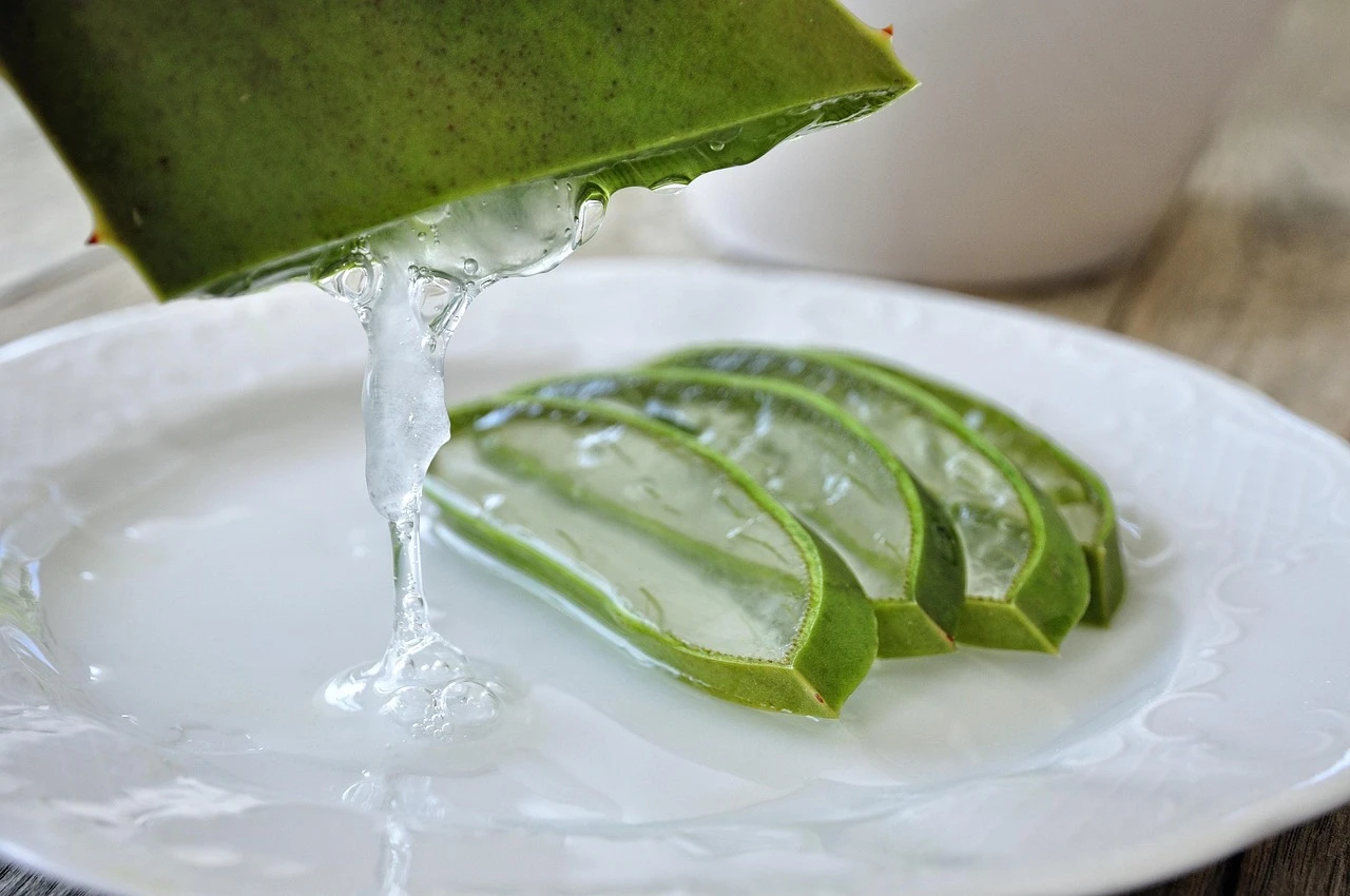 Gel z listů aloe vera