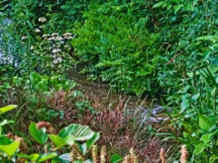 Permakulturní záhony s bylinami a trvalkami