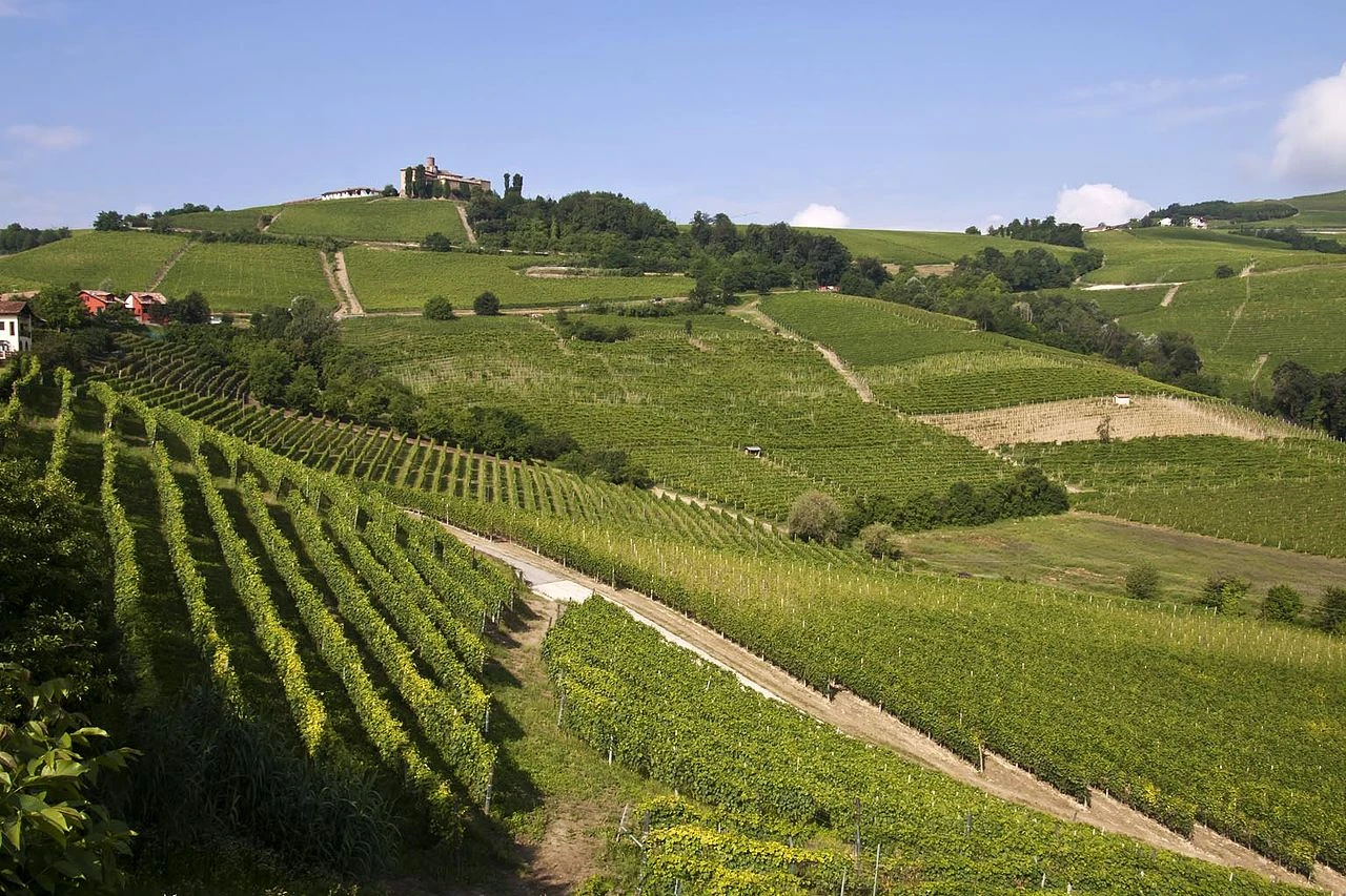 Vinice