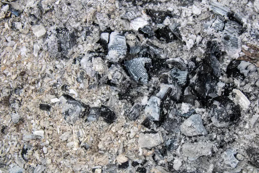 účinný postřik na mšice popel