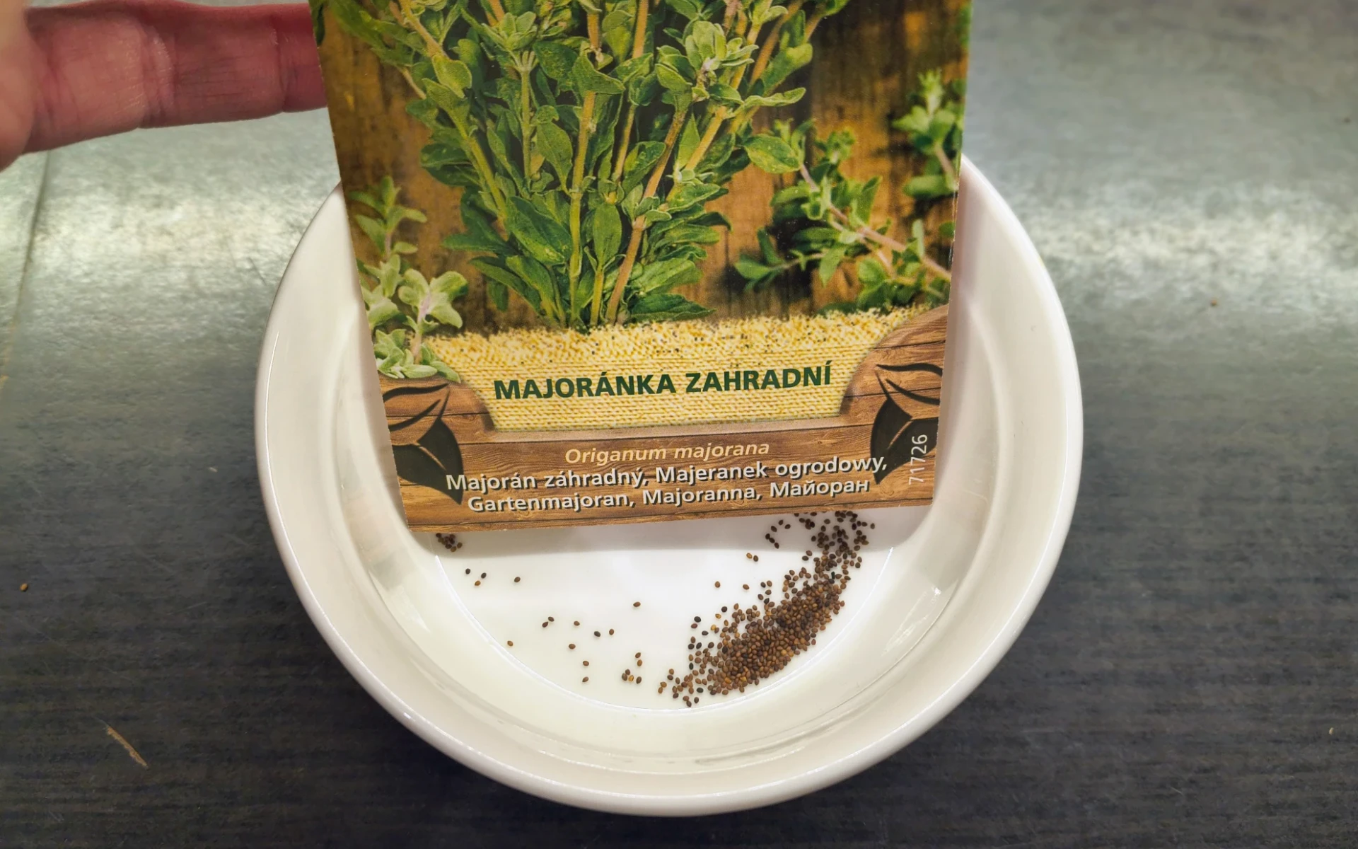 Majoránka zahradní semena