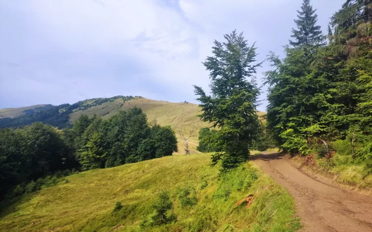 Národní park Maramureš