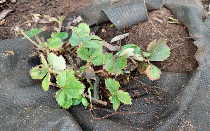 Sníh už je dávno pryč a jarní sluníčko vykukuje zpoza mraků?…