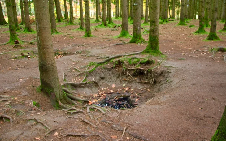 Původní zákopy 101. výsadkové divize v lese Bois Jacques u Bastogne v Belgii.