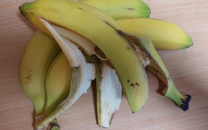 Banánové slupky na hnojení rostlin