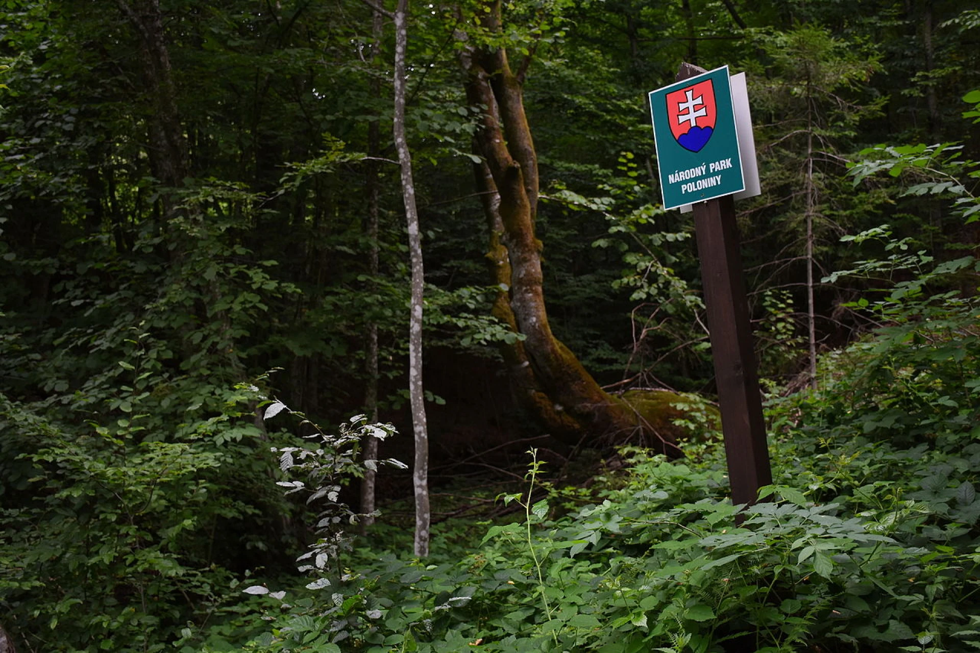 Národní park Poloniny