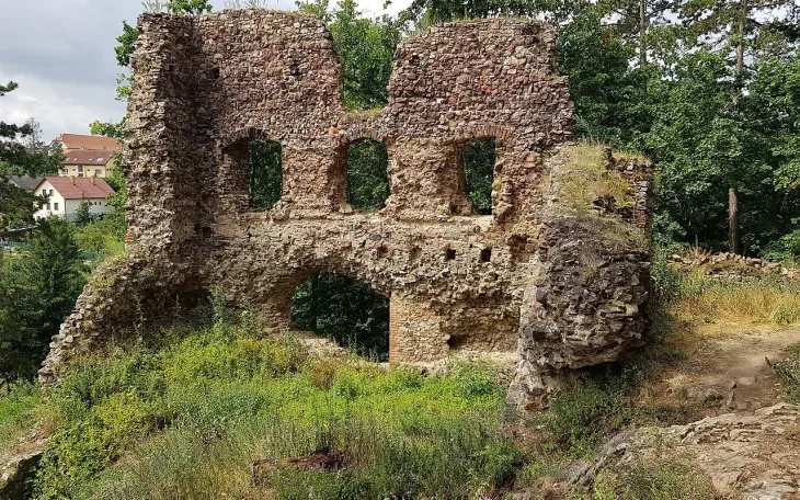 Hrad Žebrák