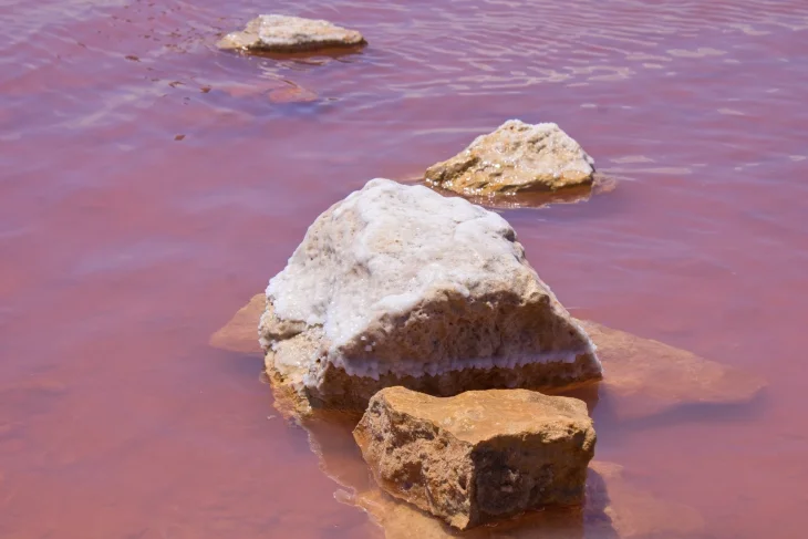 Sůl na kameni Sůl na kameni v Laguna Rosa