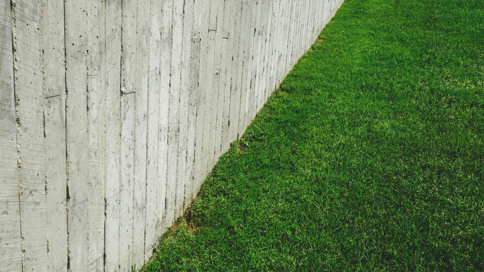 Jak odstranit mech z trávníku, abychom se těšili z krásného zeleného porostu
