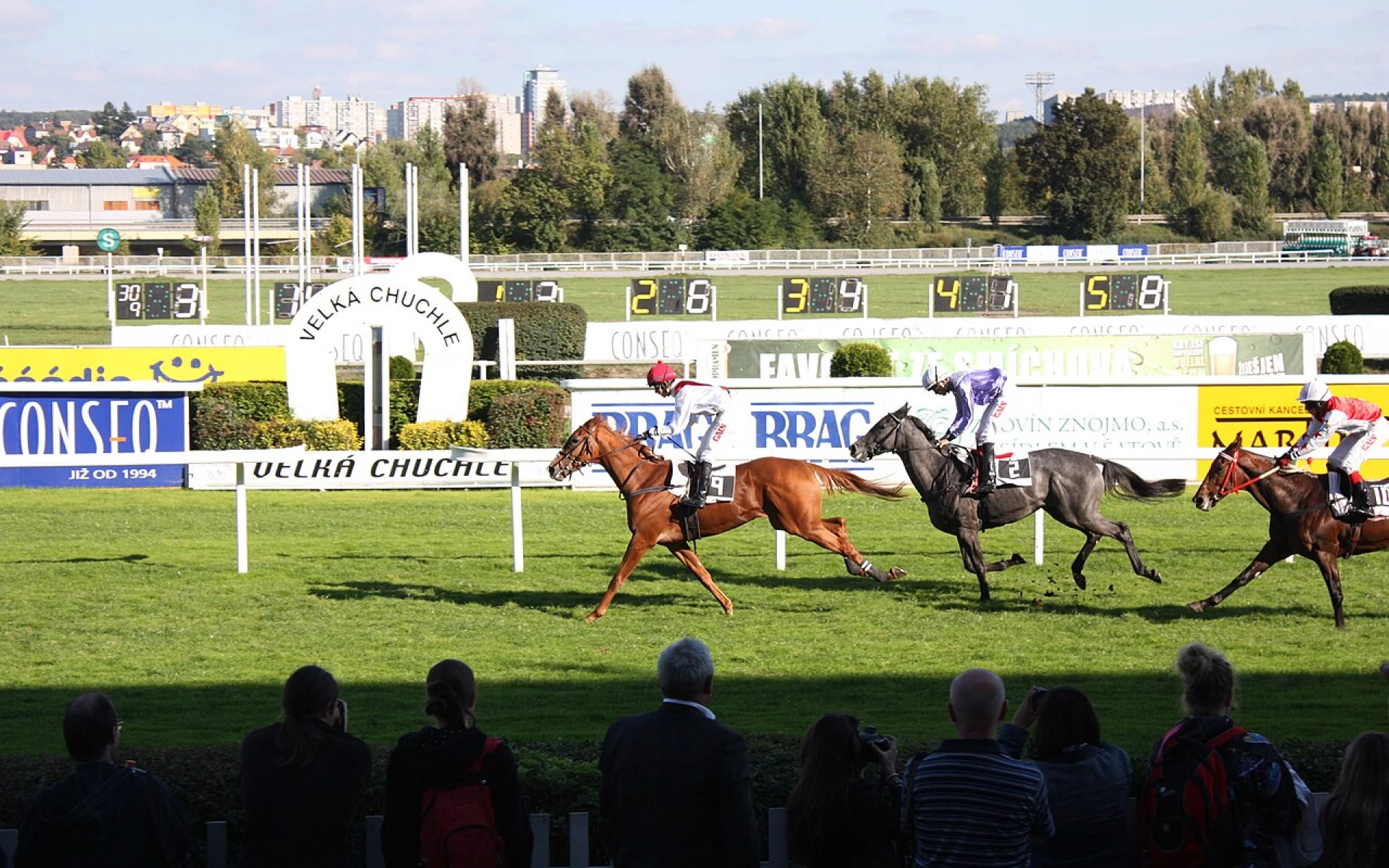 Koňské dostihy nebo ochutnávka ve sklípku. Neděle bude plná akcí a kultury