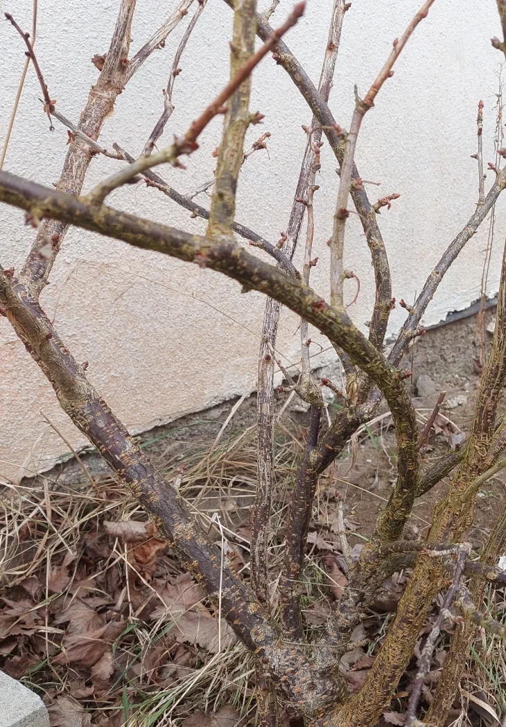 Připravte jostu na novou sezónu. Bohatě se vám odmění Připravte jostu na novou sezónu. Bohatě se vám odmění