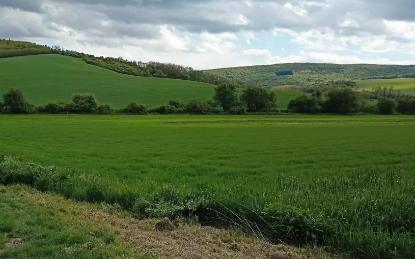 Moravské Toskánsko