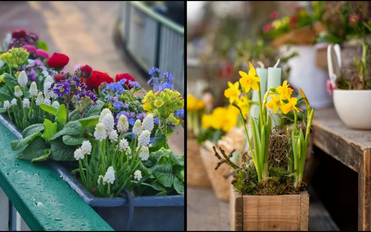 Jarní truhlíky s rostlinami na balkoně