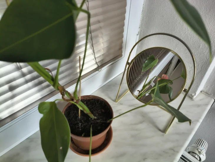 Trik se zrcátkem pro toulitku