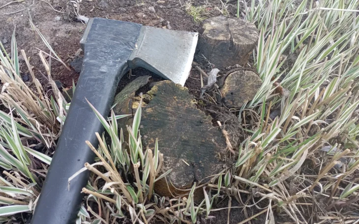 Odstraňování pařezu ze zahrady