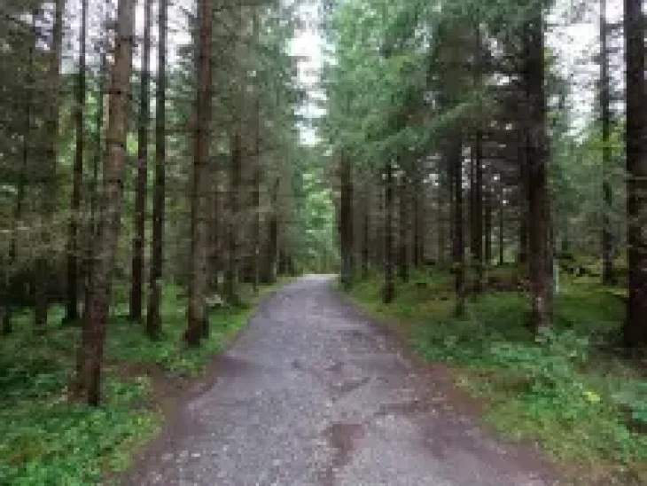 Cesta ke Grüner See a Kreuzteich